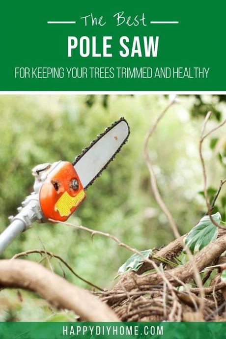 Best Pole Saw for Keeping Your Trees Trimmed and Healthy Best Pole Saw for Keeping Your Trees Trimmed and Healthy