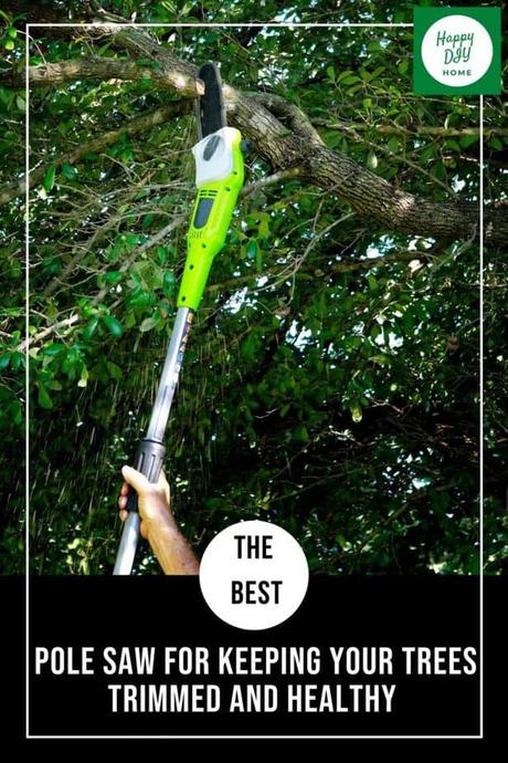 Best Pole Saw for Keeping Your Trees Trimmed and Healthy