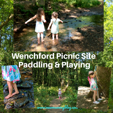 Wenchford Picnic Site REVIEW – fun playing & paddling in the Forest of Dean | Family days out