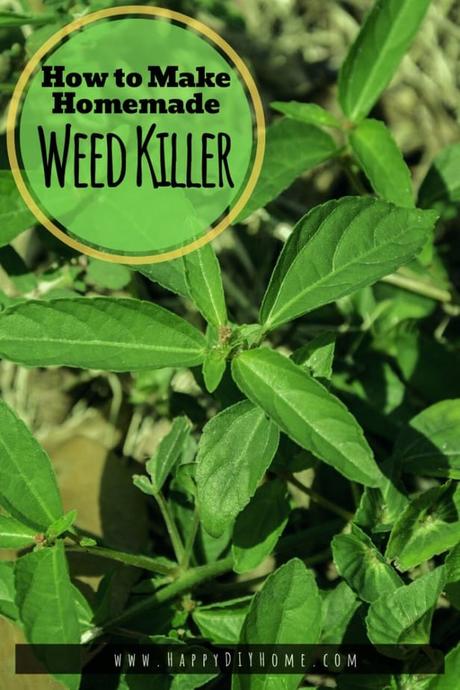 How to Make Homemade Weed Killer