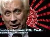 Wiring Brain from Inside [fantasies Direct Brain-to-brain Communication]