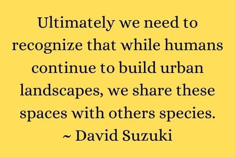 urbanization-quote-4
