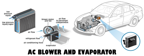 AC blower and evaporator