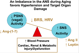 Changes as MindBlog's autonomic nervous system ages 11 years