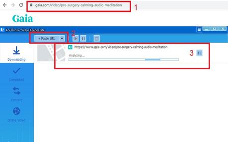 gaia download vkl step3
