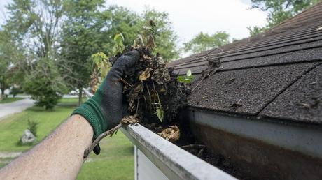 Essential Reasons for Hiring Gutter Cleaning Services in Brisbane