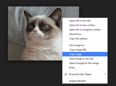 How to Copy and Paste