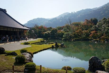 Ten Great Reasons Why You Should Visit Japan