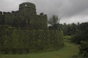 POEM: Unceasing Jungle