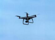 Look, Air! It's Bird, Plane....it's Drone!