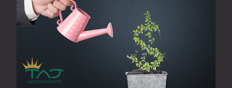 Raise Startup Capital For Your Business