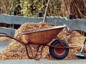Best Leaf Mulcher Create Compost