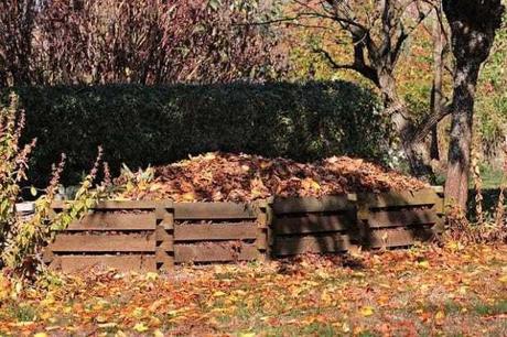 Best Leaf Mulcher to Create Compost Best Leaf Mulcher to Create Compost