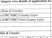 National Heath Mission (NHM), Rajasthan NRHM Recruitment 2020 Community Health Officers (CHO) 6310 Posts Last Date 16.09.2020