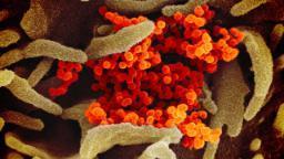 September 3 coronavirus news