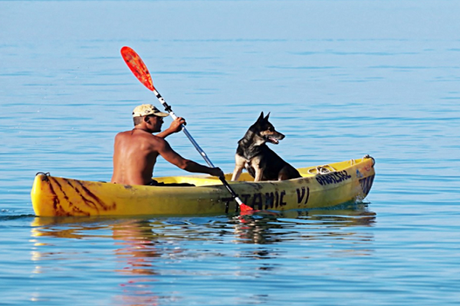A Guide to Kayaking With Your Dog