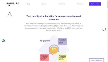 Rainbird Artificial Intelligence software program