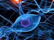 Alternative Treatment Antibody Disease