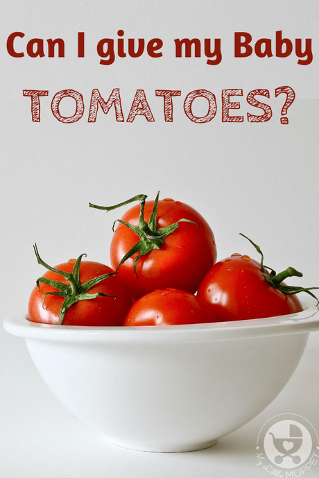 Whether you consider it a fruit or vegetable, there's no doubt that tomatoes are super healthy. So now the question is this: Can I give my Baby Tomatoes?