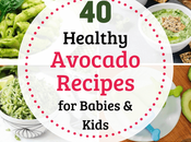 Healthy Avocado Recipes Babies Kids