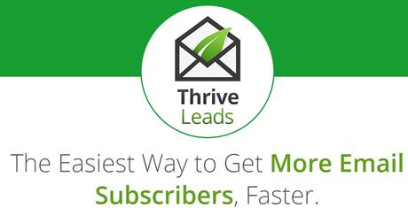 8+ Best Thrive Leads Alternative 2020 That You Must Try (HANDPICKED)