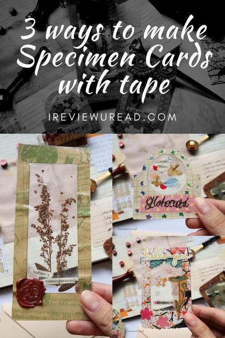 3 ways to make Clear Polaroids & Specimen Cards with Tape