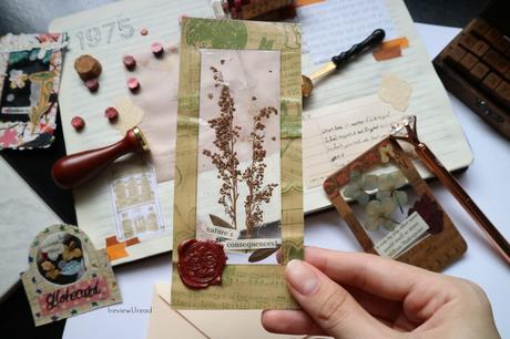 3 ways to make Clear Polaroids & Specimen Cards with Tape