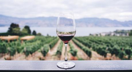 How Can South Africa’s Wine Industry Recover from COVID-19?