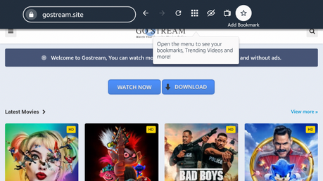 That's it! You are now able to use GoStream site on your Firestick/Fire TV device with the Silk Browser.