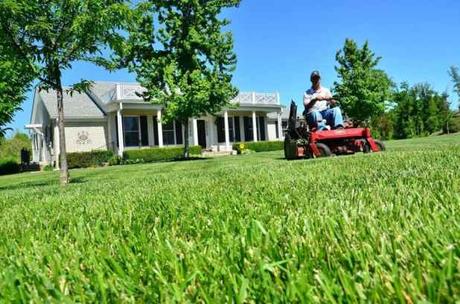 What is The Best Riding Lawn Mower?