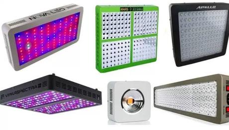 What Is An LED Grow Light? (Pros and Cons)