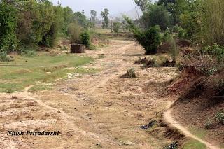 Why Indian farmers must give preference to less water consuming crops.