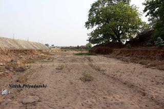 Why Indian farmers must give preference to less water consuming crops.