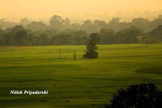 Why Indian farmers must give preference to less water consuming crops.