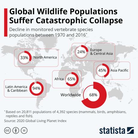 Wildlife Decline Continues