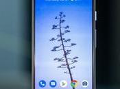 Google Pixel Here: Your Buying Guide