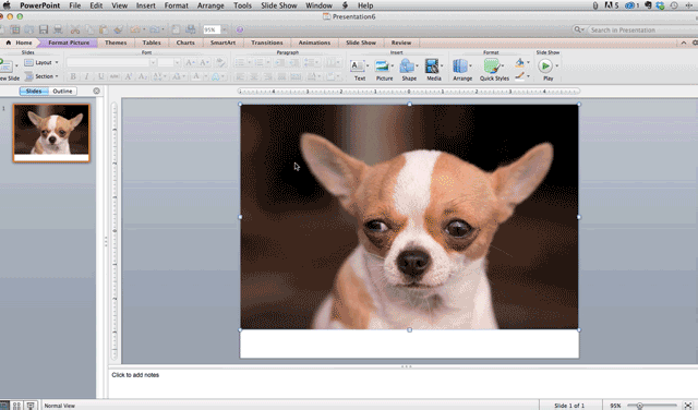 14 PowerPoint Presentation Tips to Make More Creative Slideshows [+ Templates]