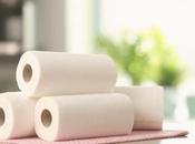 Paper Towels Recyclable? (And Flush Them Too)