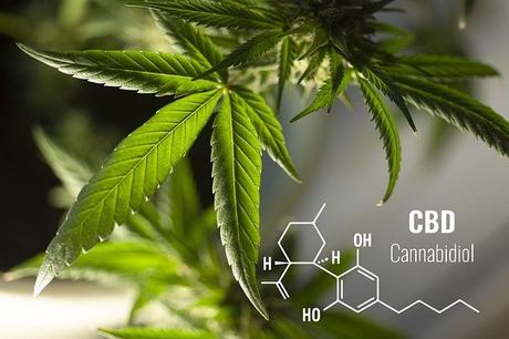 Is CBD Oil Safe? | Benefits, Uses & Risks