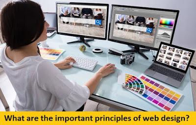 What are the Important Principles of Web Design?