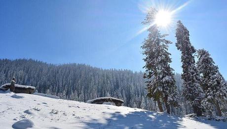 3 Surreal Valleys In Pahalgam One Must Definitely Visit While In Kashmir! 3 Surreal Valleys In Pahalgam One Must Definitely Visit While In Kashmir!