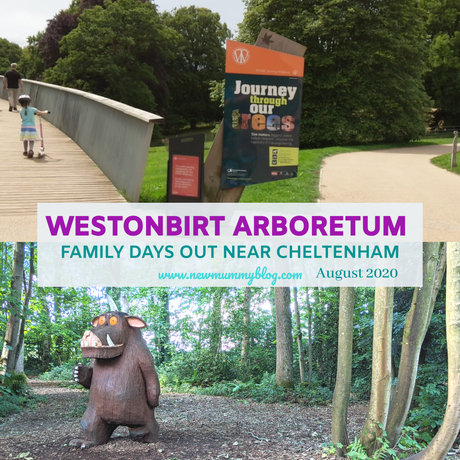Westonbirt Arboretum review – fun family days out post-lockdown near Cheltenham