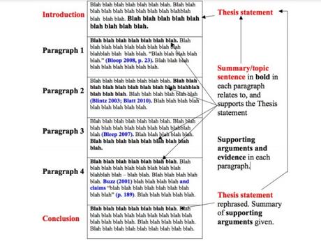 Cause and effect essay structure example picture
