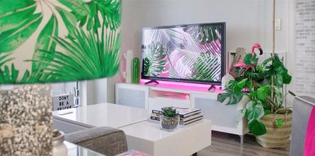 tv besides a potted flower