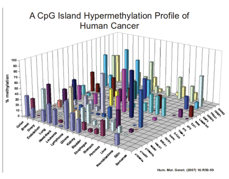 The Power of Data Visualization Plus Examples of Good and Bad Visuals
