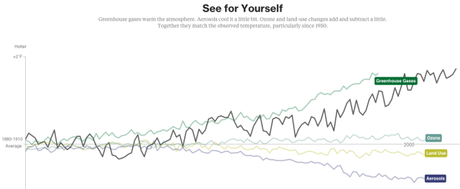 The Power of Data Visualization Plus Examples of Good and Bad Visuals