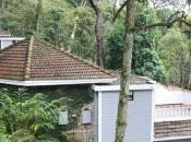 POEM: Rainy Rambling Brain