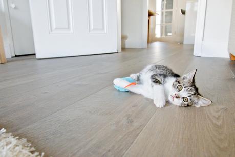 Downstairs Home Improvements - Flooring & Skirting Transformation