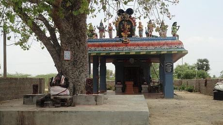 5 Picnic Spots Near Coimbatore For Those Seeking Serenity! 5 Picnic Spots Near Coimbatore For Those Seeking Serenity!