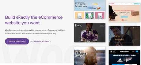 Top 5 Excellent ECommerce Plugins for WordPress